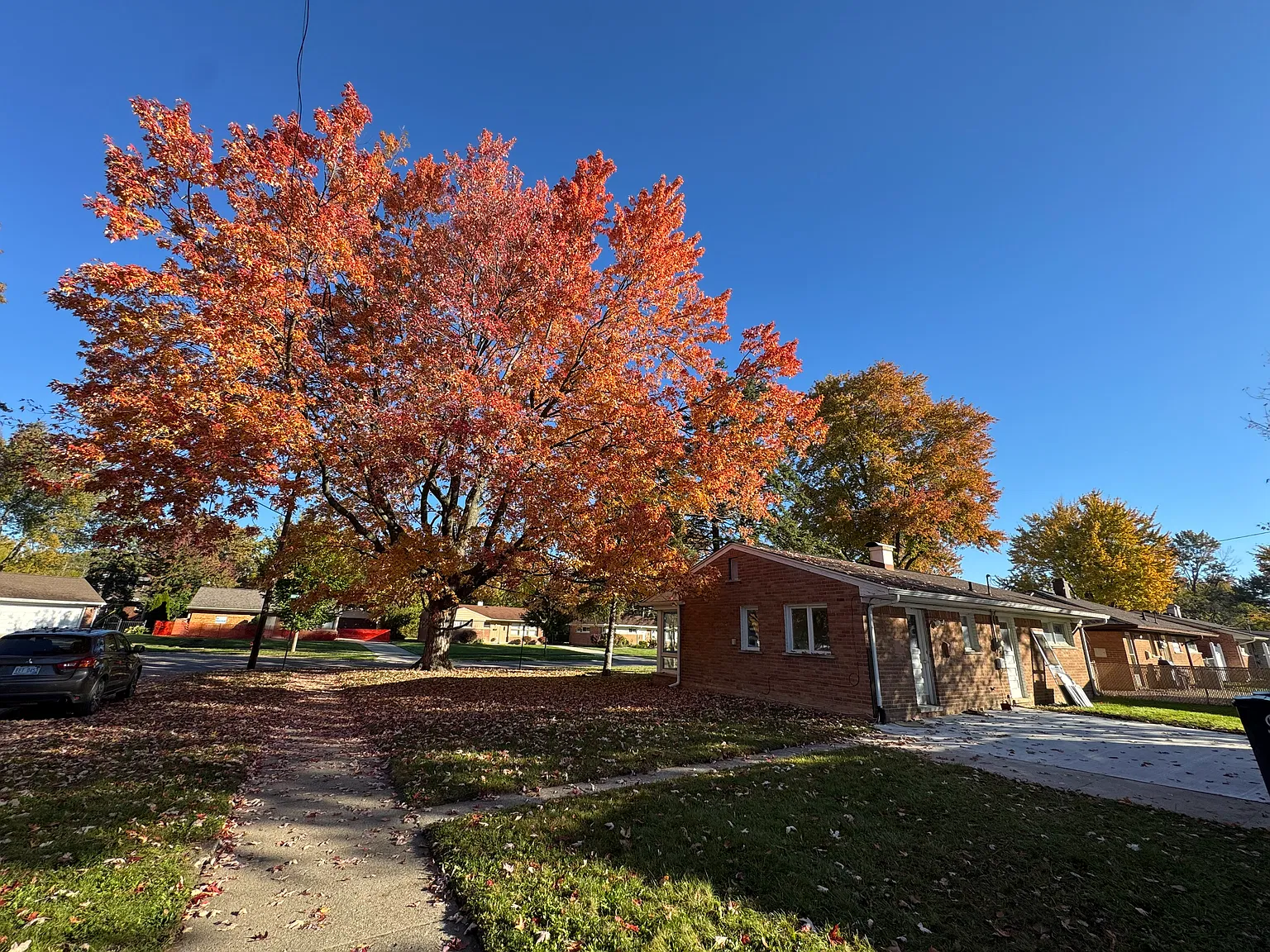 3 bed, 996 sqft, $2,600 — Photo 1