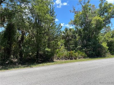10293 N Coco Plumosa Dr, Crystal River, FL, 34428