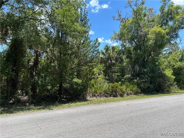 10257 N Coco Plumosa Dr, Crystal River, FL 34428