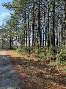 0 Pinewood Ln, Centreville, MS, 39631