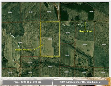 60/ACR E Munger Rd, Carp Lake, MI, 49718