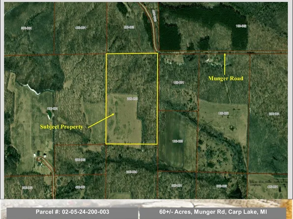 60/ACR E Munger Rd, Carp Lake, MI 49718