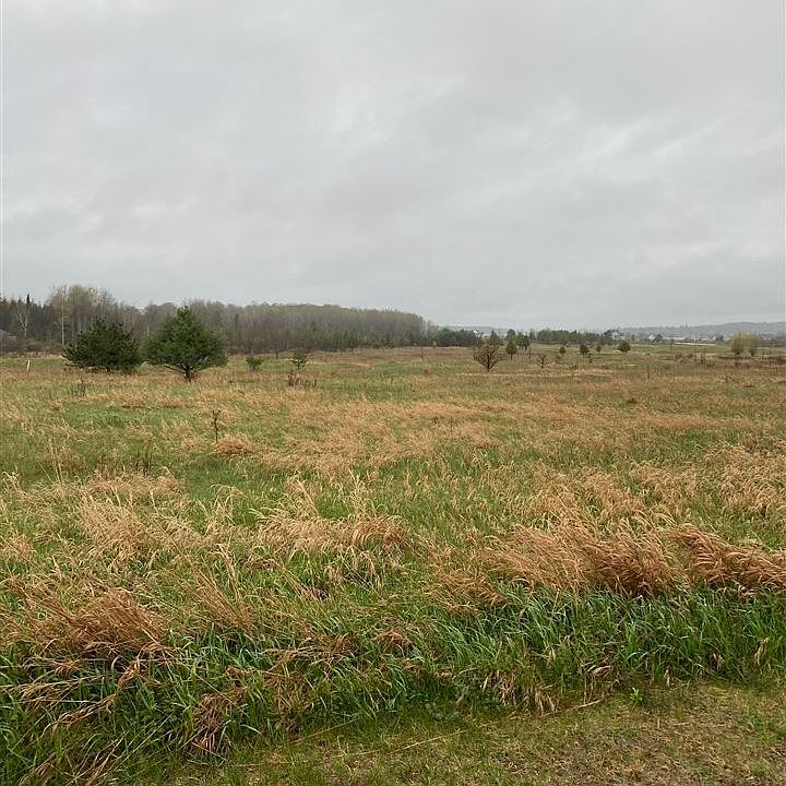 2nd image of 6580 Lora Bette Dr