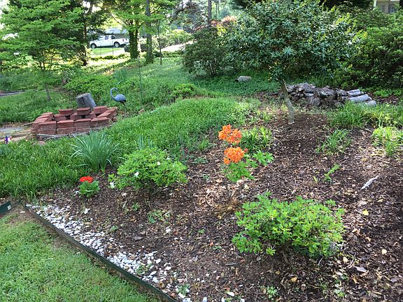 Front yard