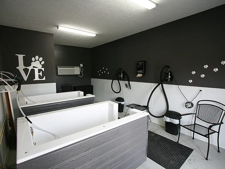 Pet Spa