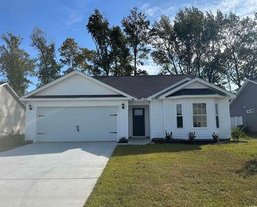 647 Snowy Owl Way Lot 25 Sewee, Conway, SC, 29527