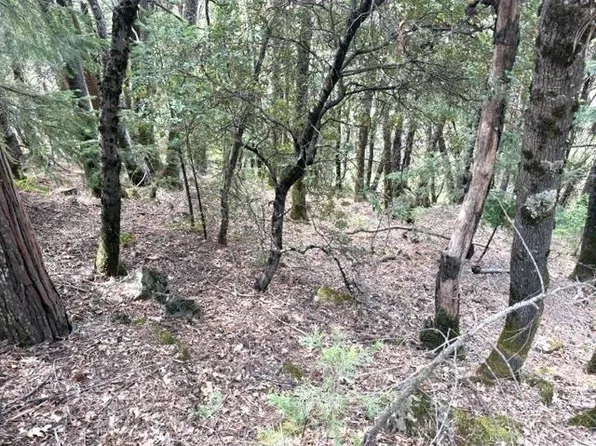 6 River Ave, Dunsmuir, CA 96025