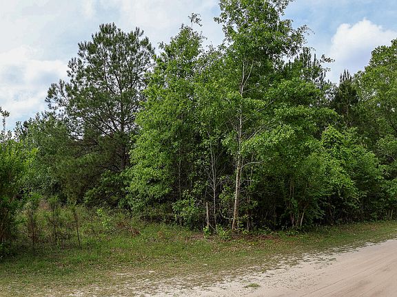 4th image of 475 PRINGLE (CLAY COUNTY) Road