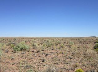22 Brigham Young, Douglas, AZ 85607