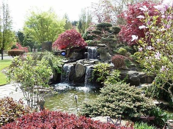 Gorgeous water garden
