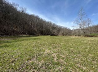 1 Raccoon Run Rd, Arnoldsburg, WV 25234