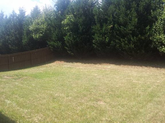 back yard
