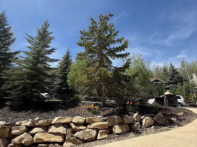 7492 Susans Cir — Photo 44