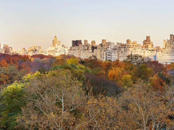 110 Central Park South image 6 of 18