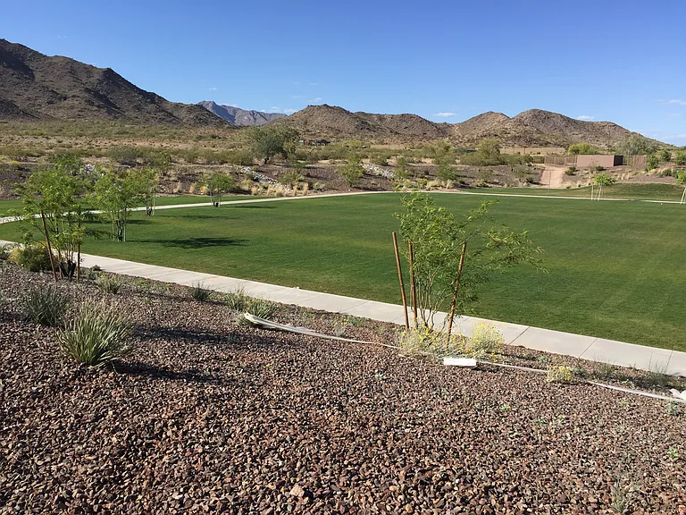 2263 N Park Meadows Dr — Photo 17