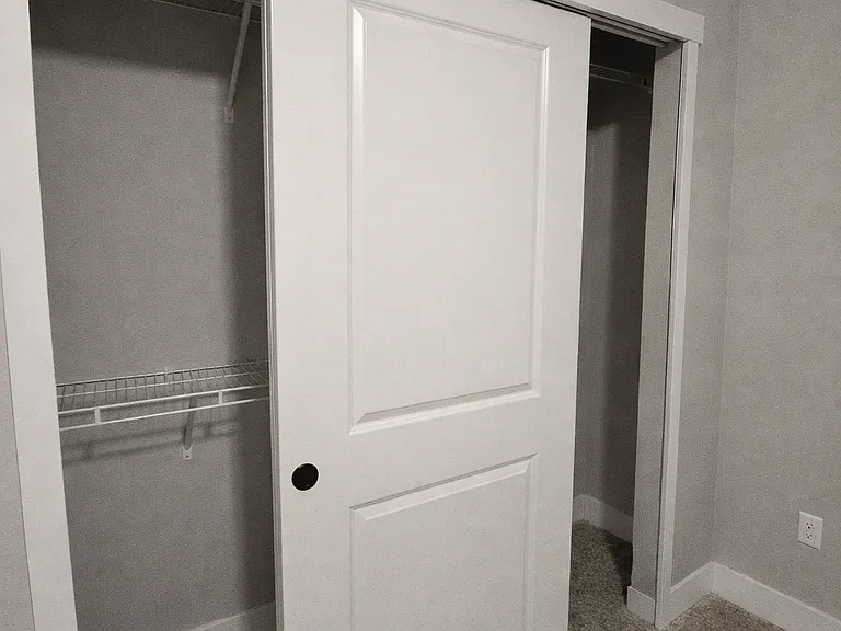 Downstairs Bedroom Closet