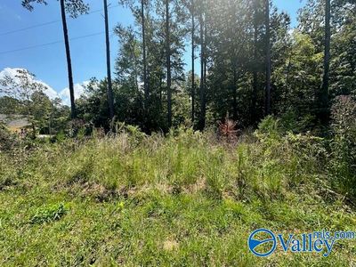 LOT 7 Armstrong Rd, Cedar Bluff, AL, 35959