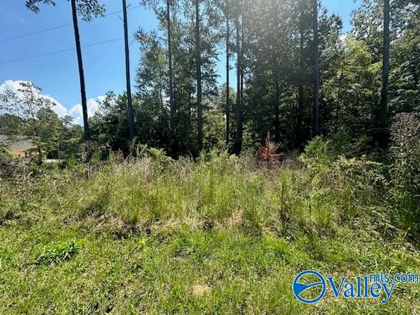 LOT 7 Armstrong Rd, Cedar Bluff, AL 35959
