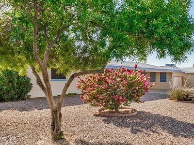 6449 E ADOBE Road, Mesa, AZ, 85205