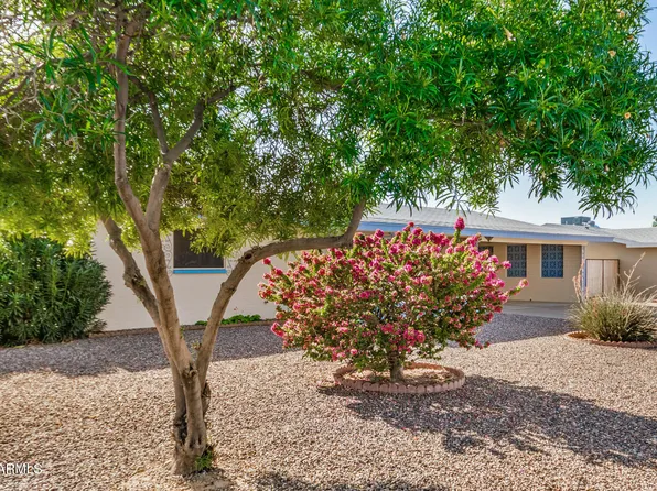 6449 E ADOBE Road, Mesa, AZ 85205