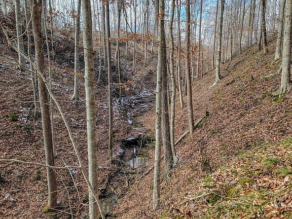 3rd image of 0 Hutchins Bend Rd Lot 3