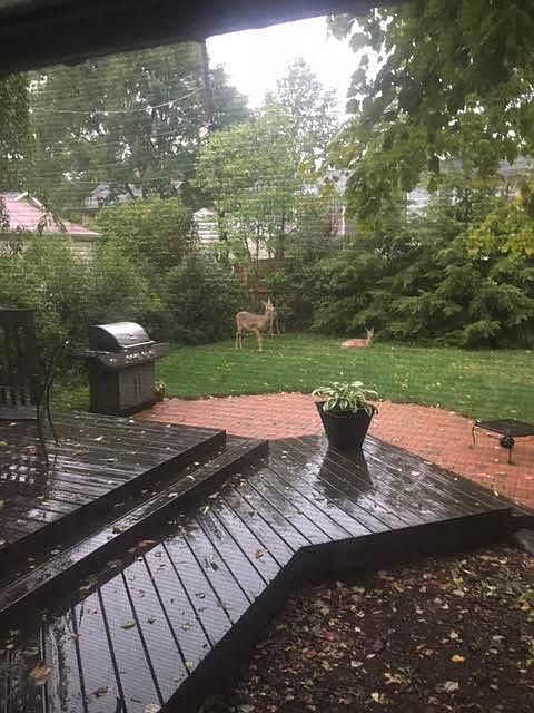 2nd image of 342 Acton Rd #1