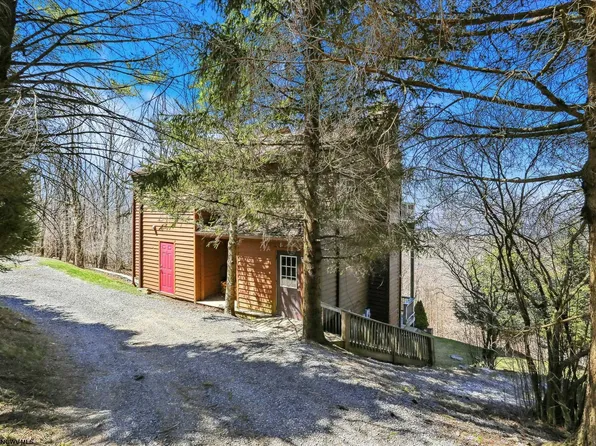 1901 Mountainside Rd, Davis, WV 26260