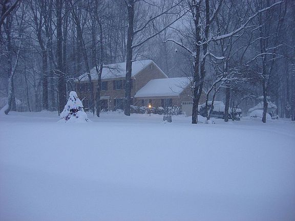 2nd image of 8401 Plum Creek Dr