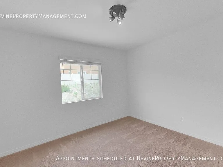 18302 Flowering Plum Way — Photo 26