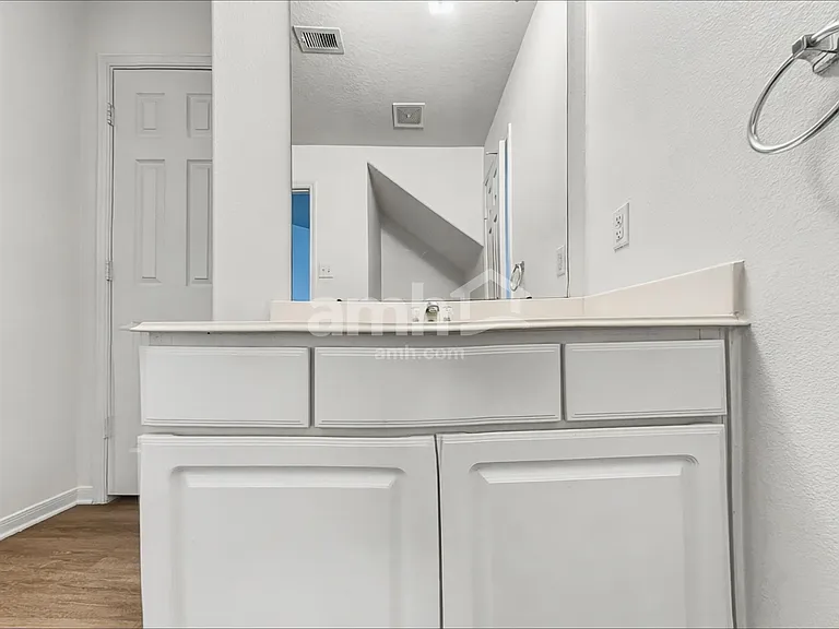 16818 Blackberry Lily Ln — Photo 14