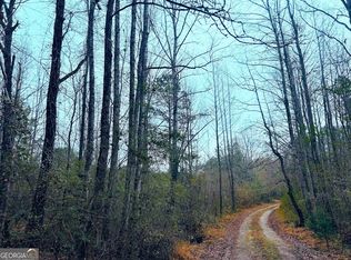 0 Hopeful Rd LOT 3, Munford, AL 36268