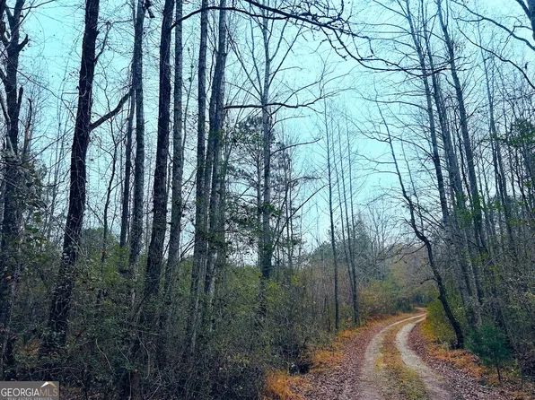 0 Hopeful Rd Lot 3, Munford, AL 36268