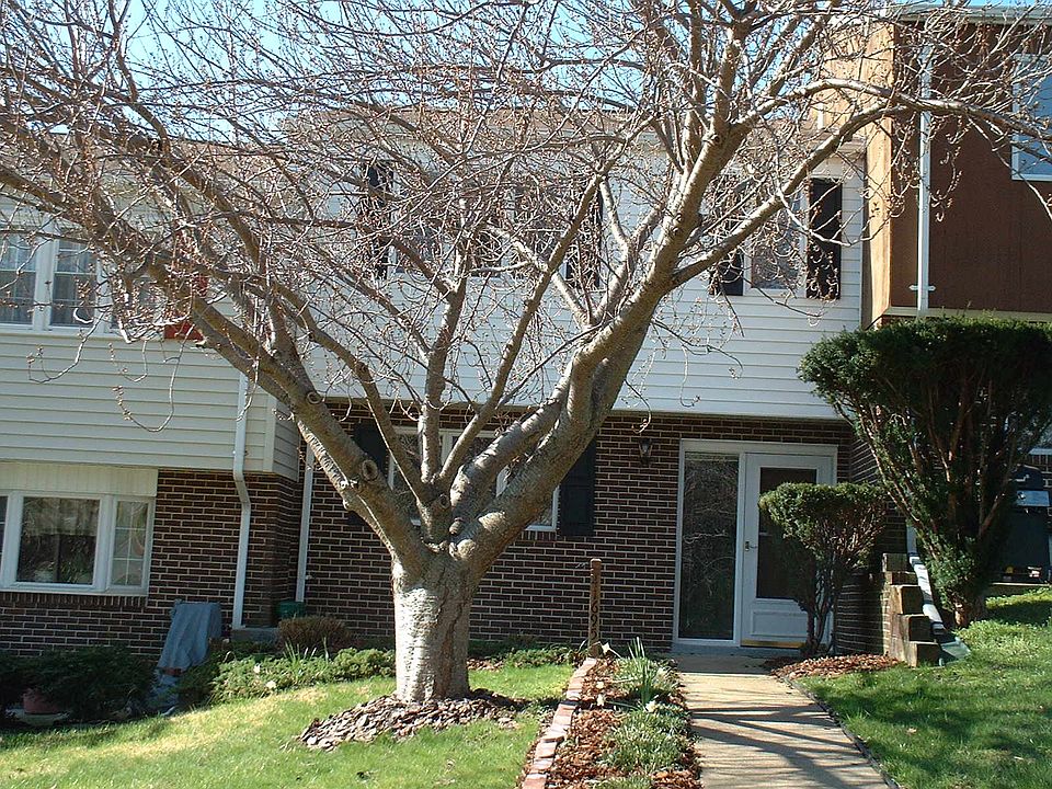 1st image of 41695 Park Ave