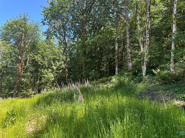 44 Acres McCary Road SW, Bremerton, WA 98312