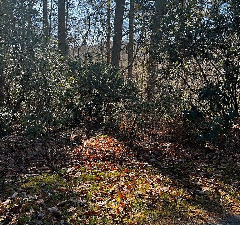 2nd image of 21 Wildcat Lane