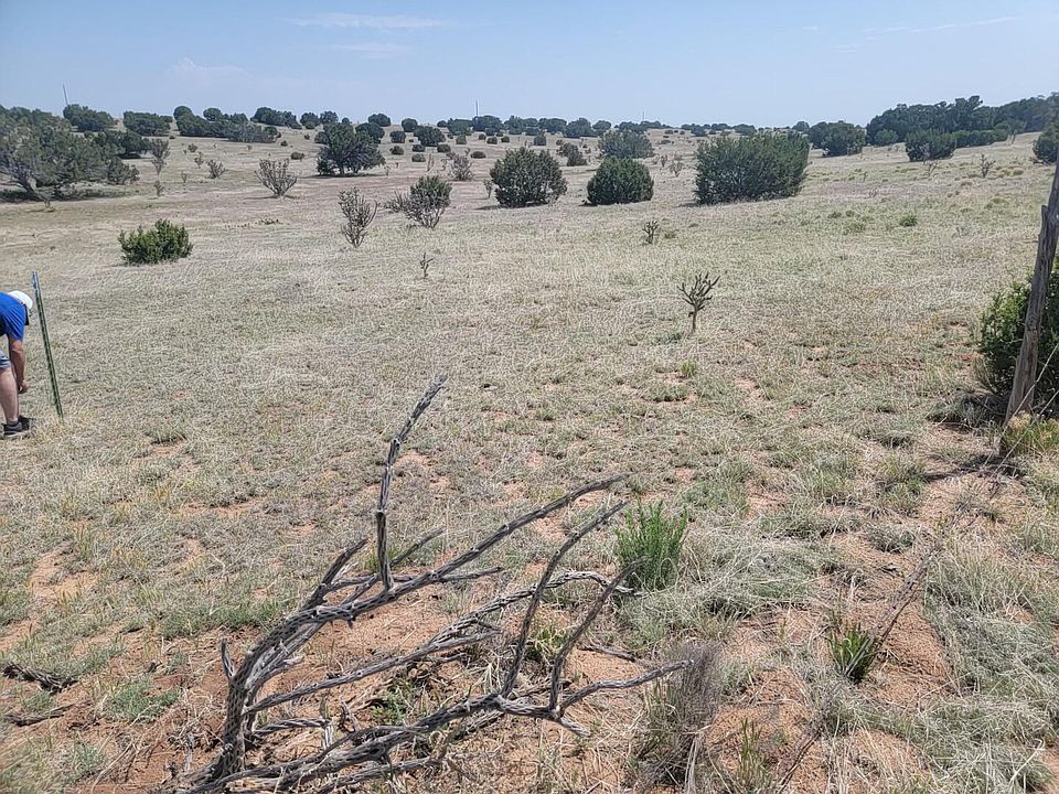 2nd image of 140 Brazos Loop