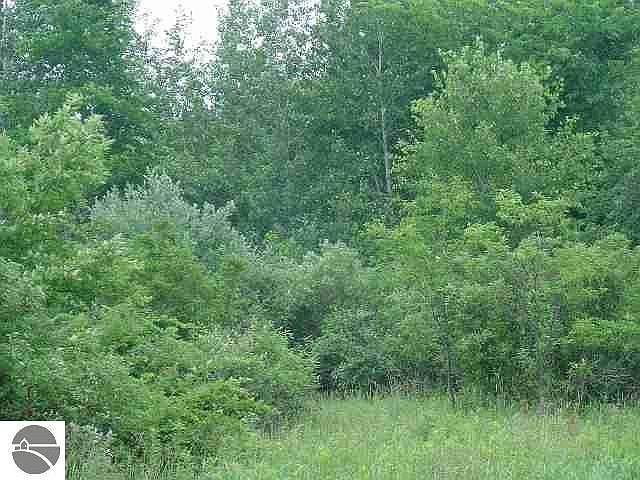 2nd image of Grace Rd