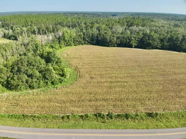 Red Oak Rd, Florala, AL 36442