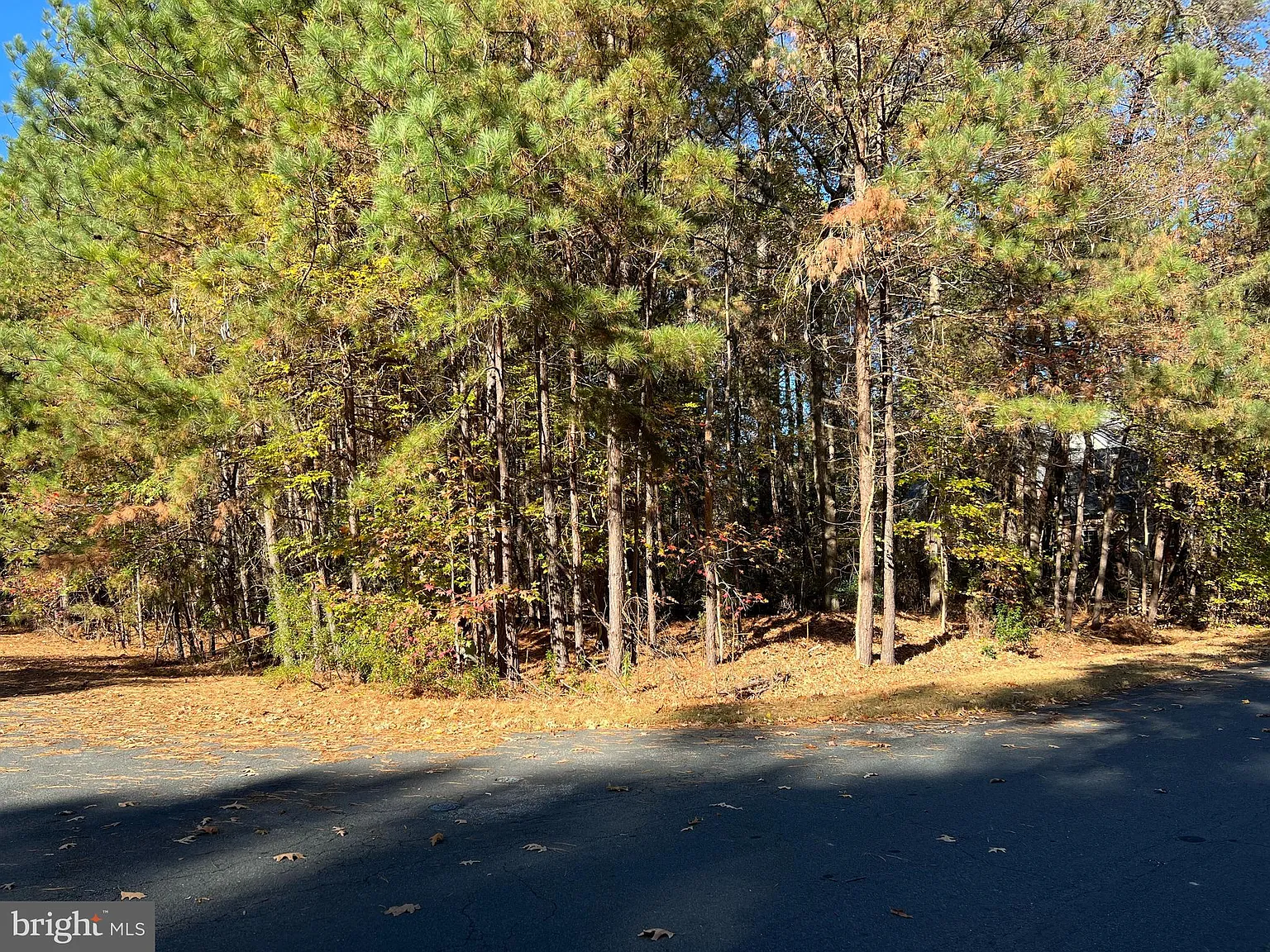 11310 Ingels Ct photo 1