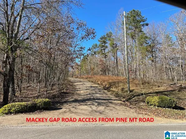 8924 Pine Mountain Rd #0, Pinson, AL 35126