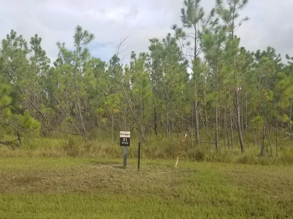 LOT 21 Wide Water Cir, Wewahitchka, FL 32465