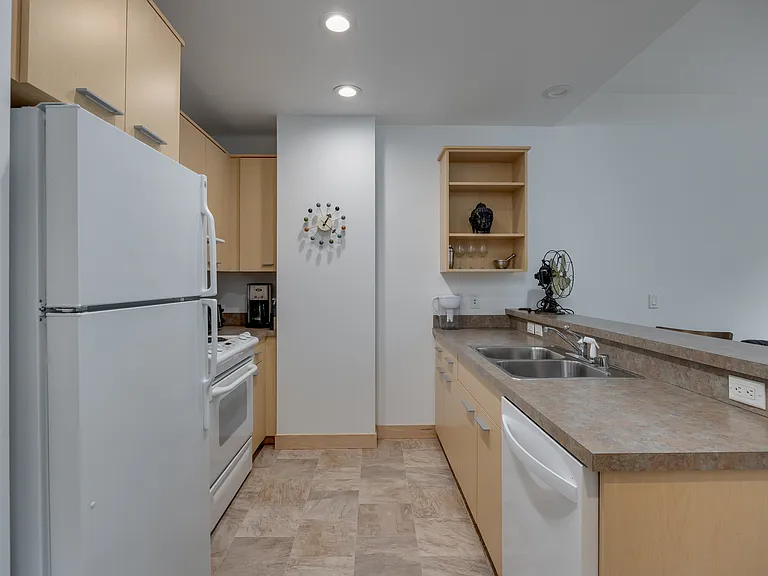 309 W Washington Ave #204 — Photo 6