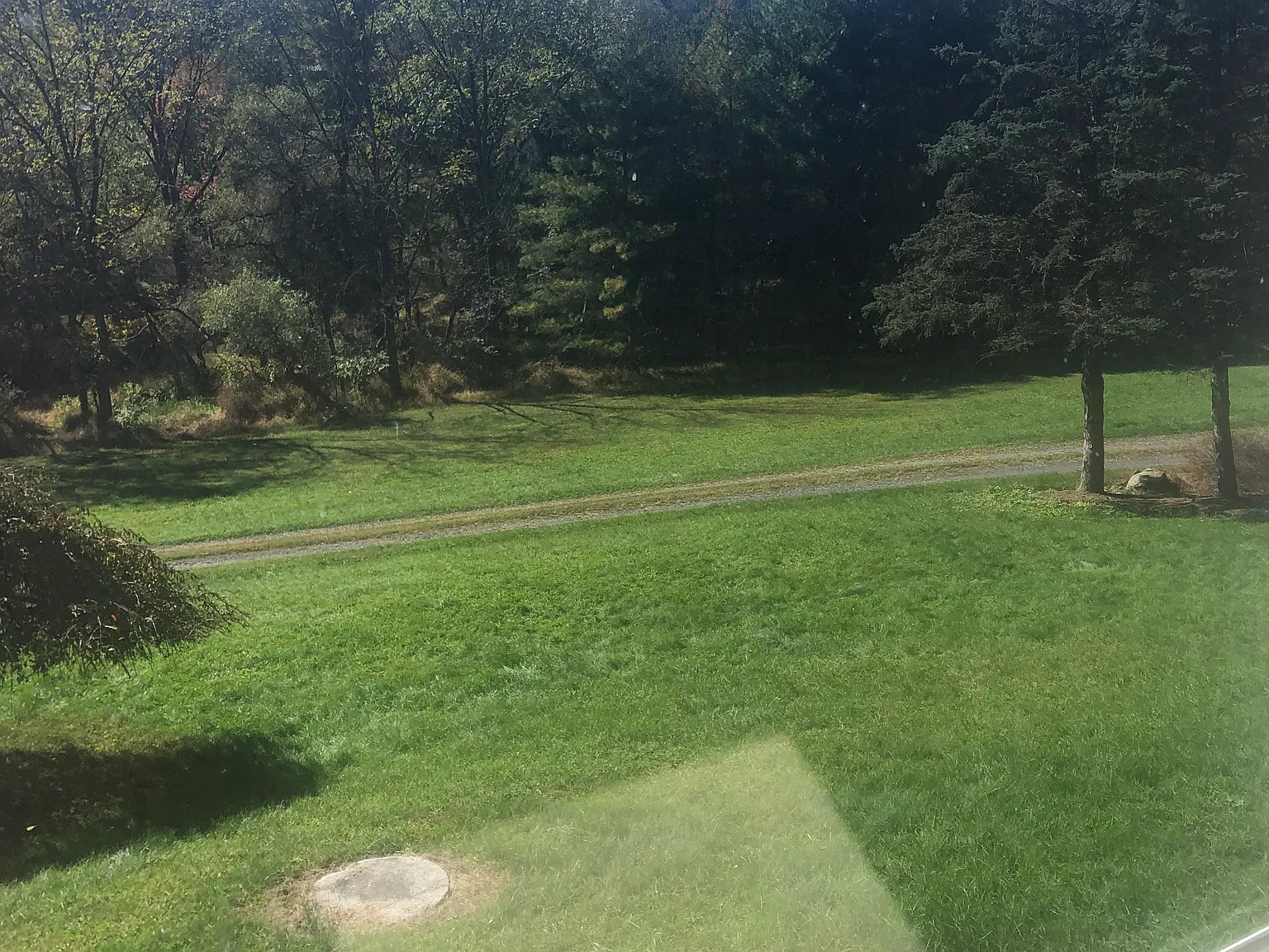 3 bed, 1182 sqft, $1,750 — Photo 4