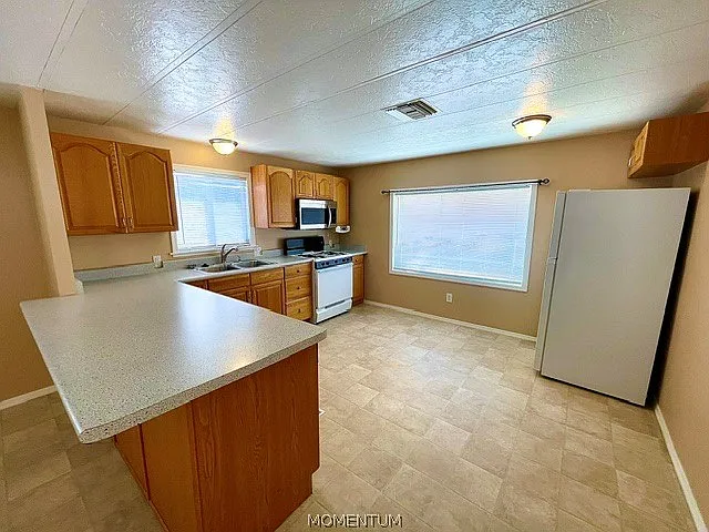 803 Roadrunner Dr — Photo 13