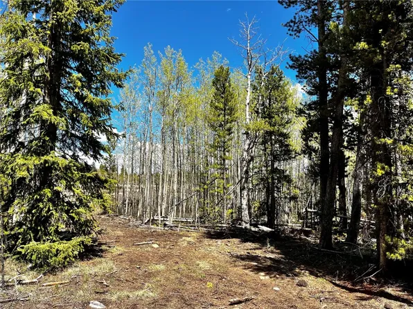 84 Muhly Ct, Fairplay, CO 80440