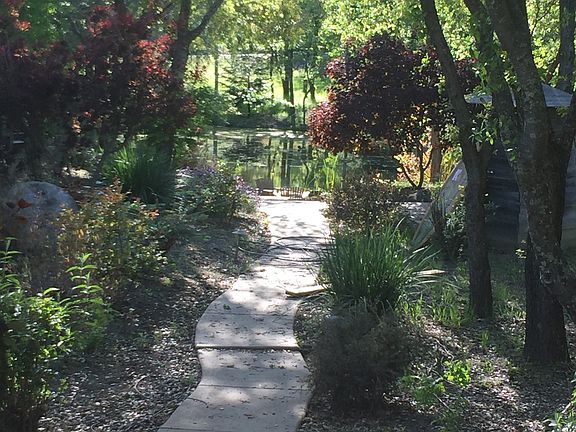 Path to pond