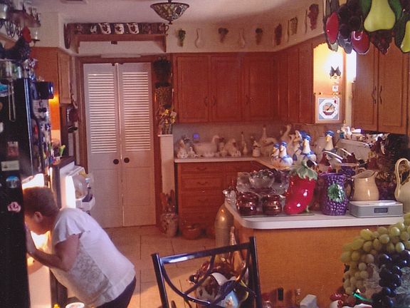 Kitchen Cabinetry (a lot of cabinets)