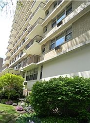 Welcome to the Dorset!