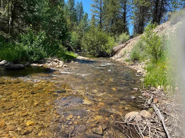 206 Lainey Ln, Idaho City, ID 83631