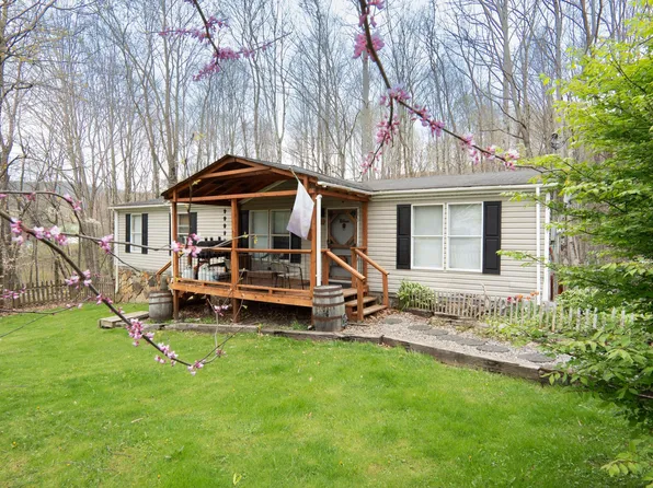448 Bostic Ave, Charmco, WV 25958